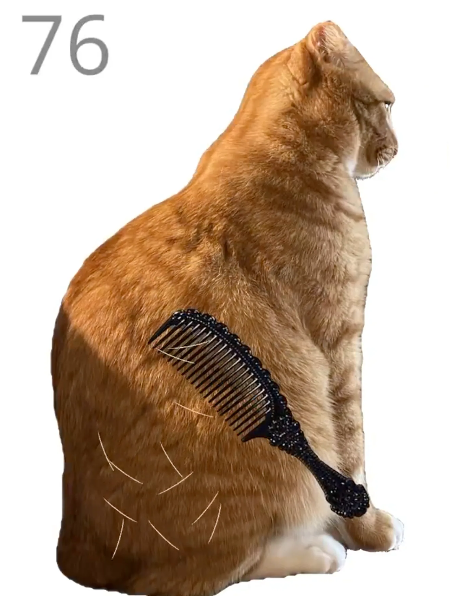 Play Brush Jjaemu Online (No Download) cover